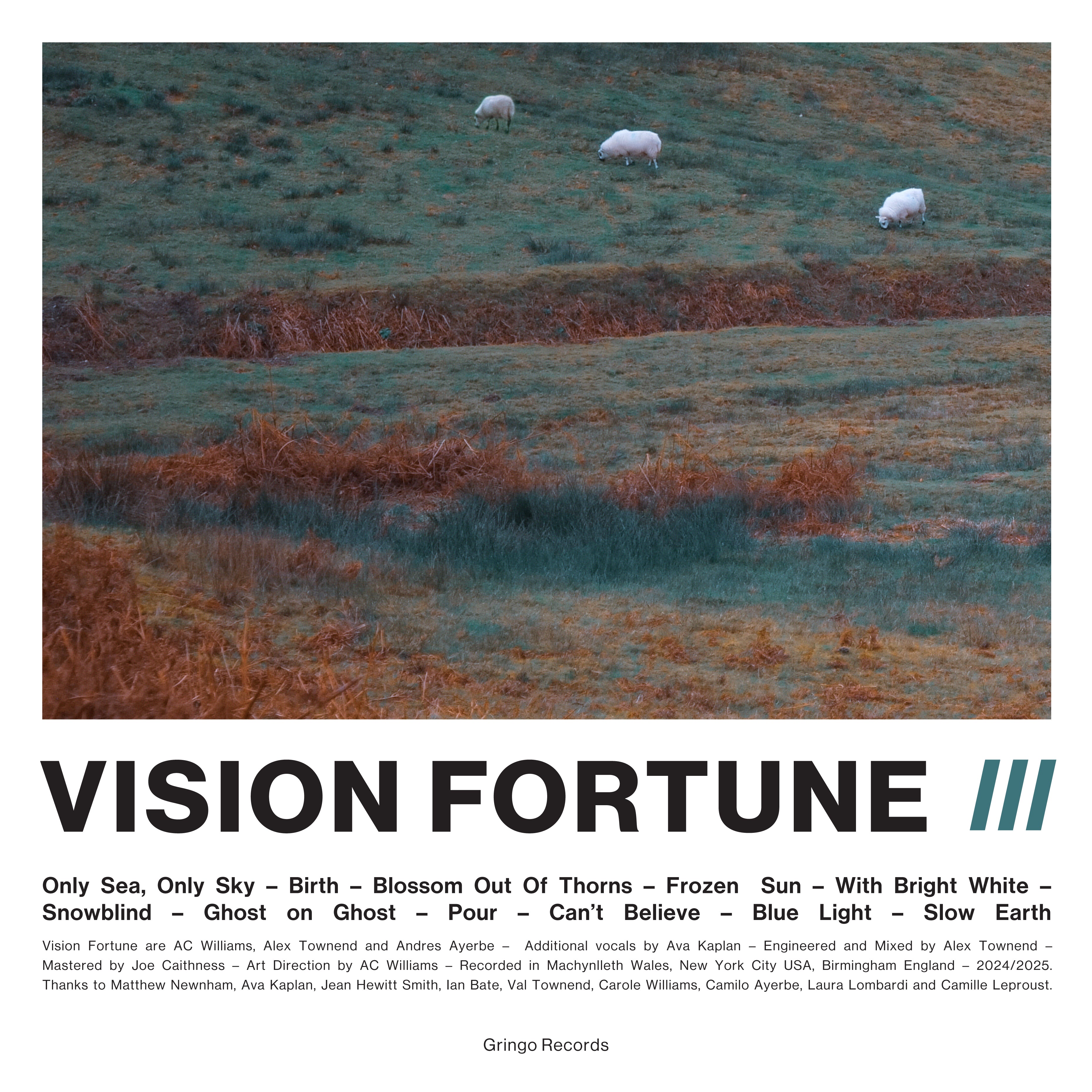 Vision Fortune - III