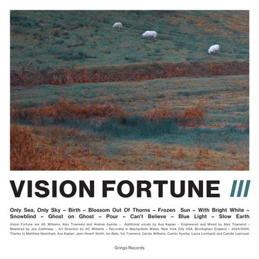 Vision Fortune - III