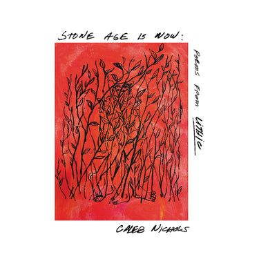 Caleb Nichols - Stone Age Is Now: Poems from Lithic