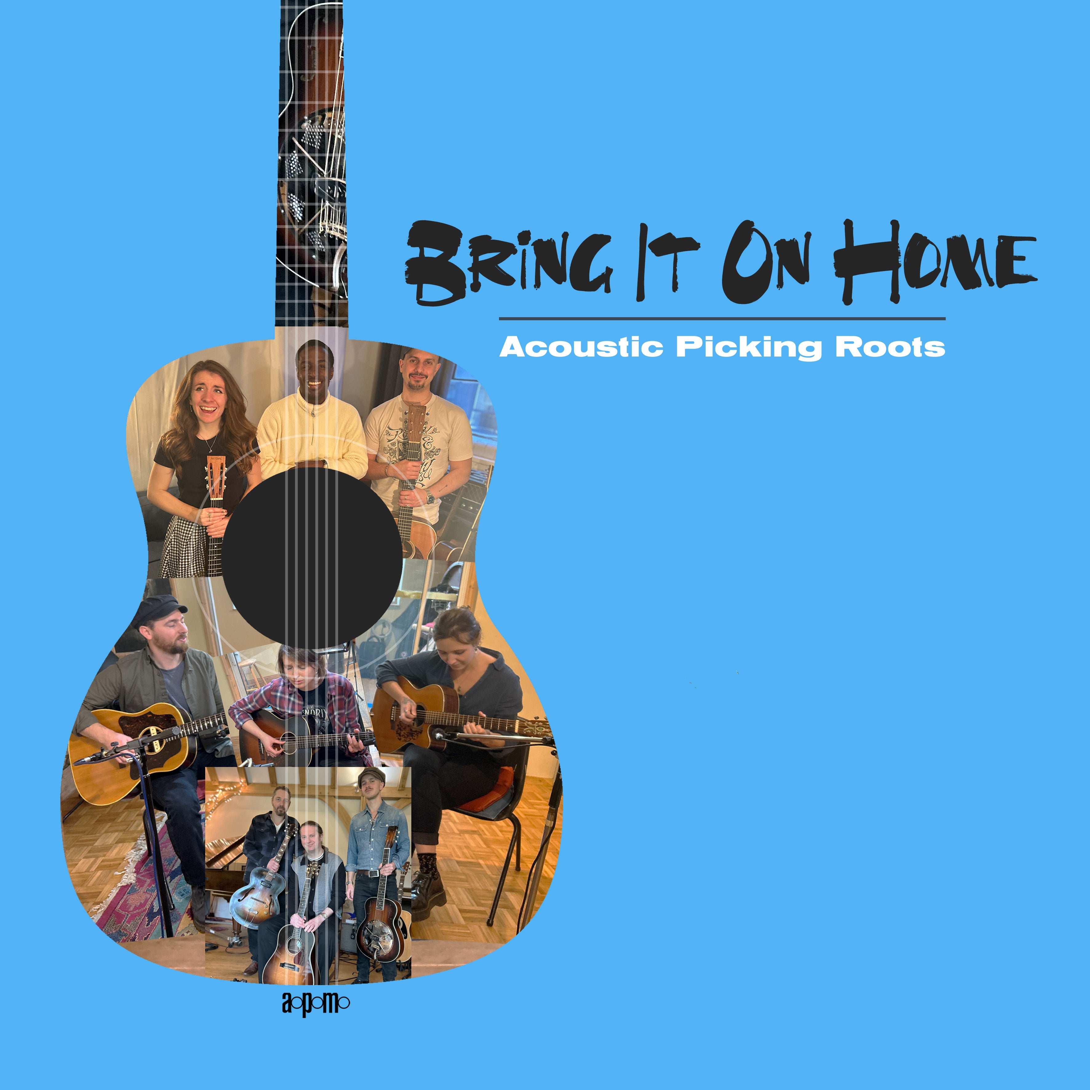 Various Artists - Bring It On Home
