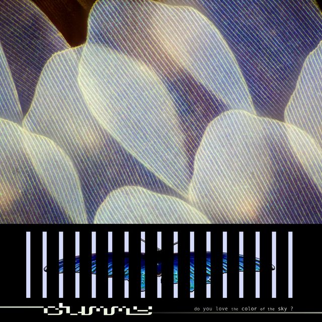 Dummy - do you love the color of the sky?