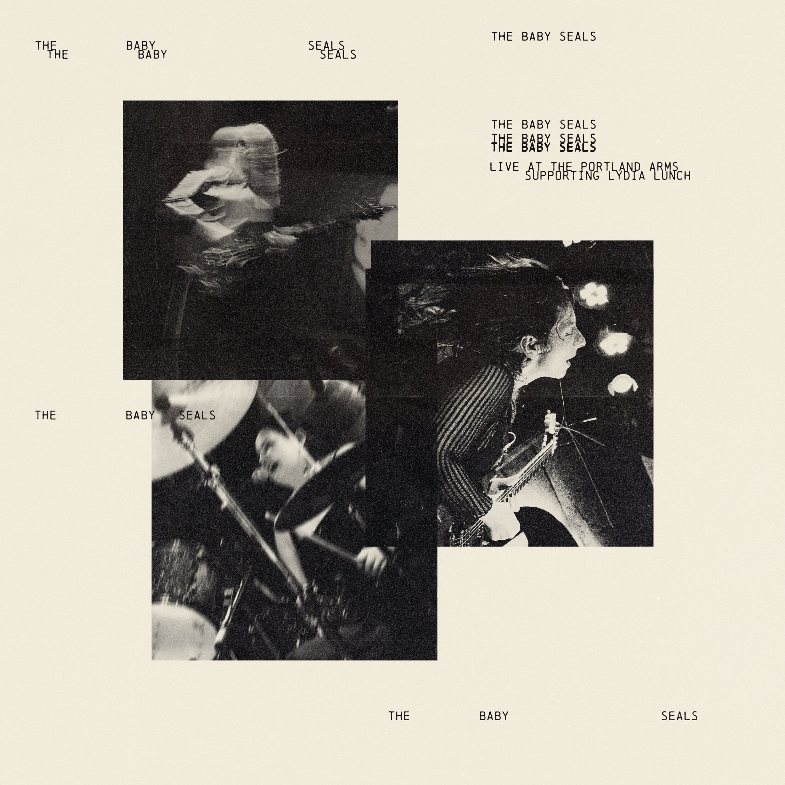The Baby Seals - Live at the Portland Arms Supporting Lydia Lunch