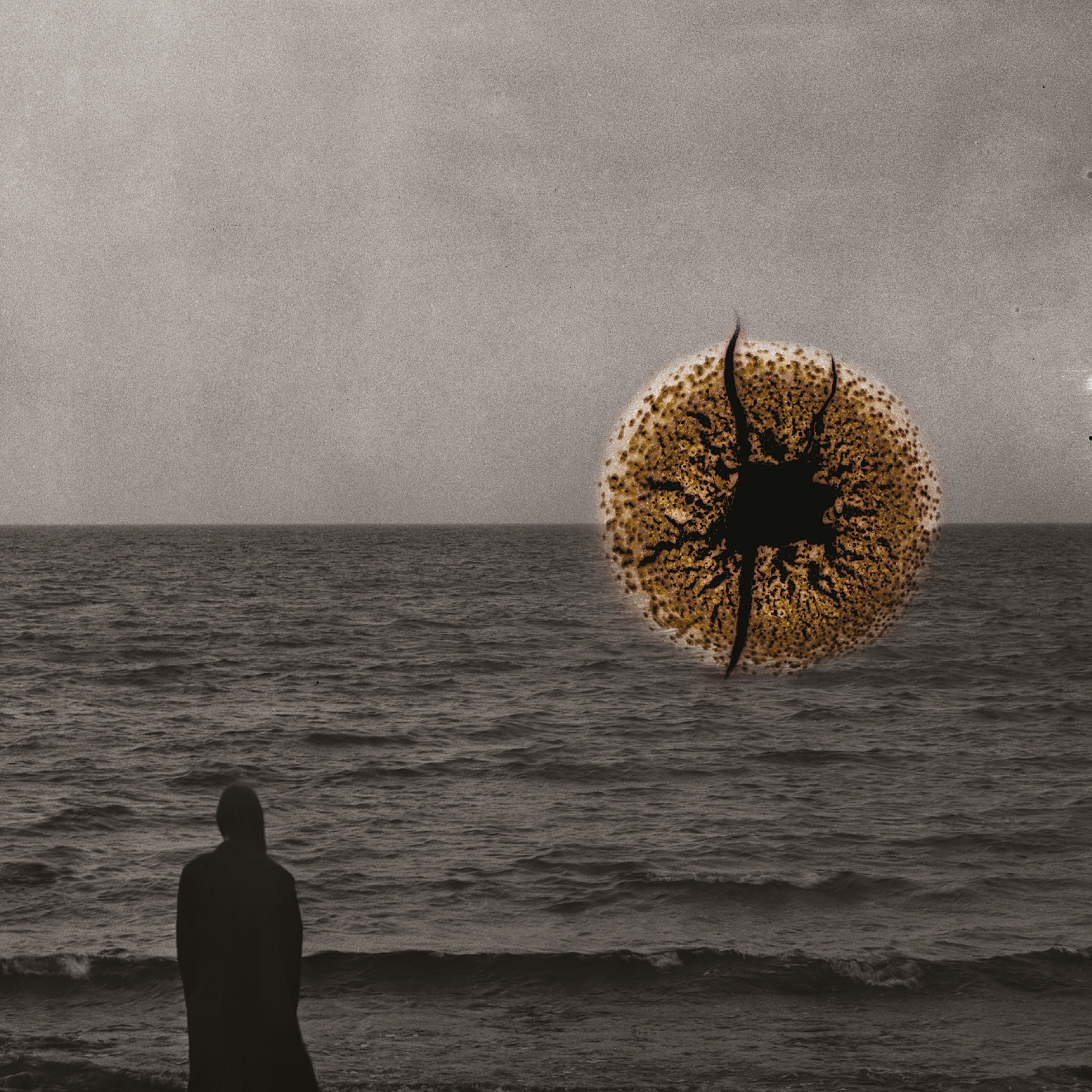 David Granström - Echoes of Impermanence