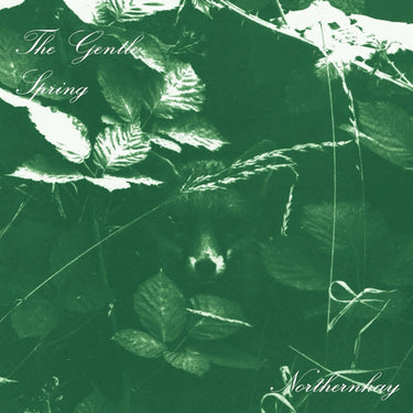 The Gentle Spring - Northernhay