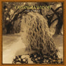 Cassandra Wilson - Belly Of The Sun