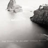 Contemporaneous & David Bloom - Dylan Mattingly: The Wild Heart