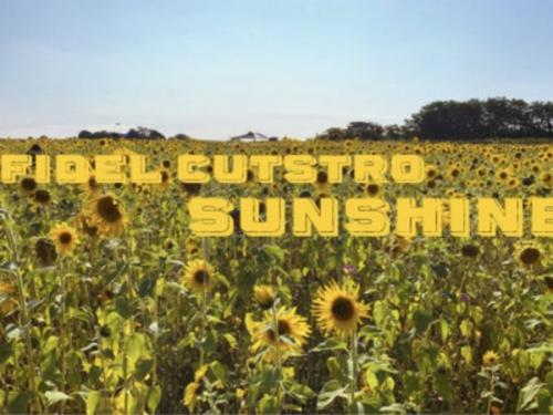 Fidel Cutstro - Sunshine