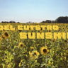 Fidel Cutstro - Sunshine