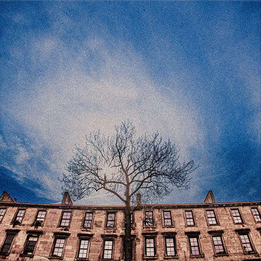 Gallus - Life Is Bliss