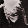 Giles Corey - Giles Corey (Remastered)