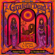 Grateful Dead - A Splendor in the Dark