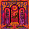 Grateful Dead - A Splendor in the Dark