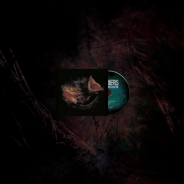 CD