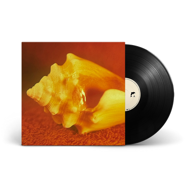 LP