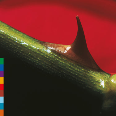 Nusrat Fateh Ali Khan & Michael Brook - Night Song - 30th Anniversary Edition