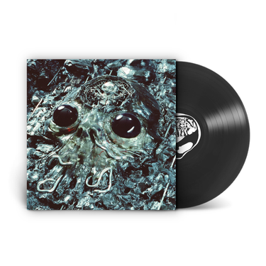 Translucent Black Recycled Plastic LP