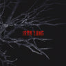 Andrew Hulshult - Iron Lung