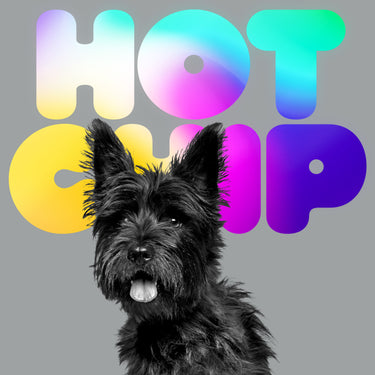 Hot Chip - A Long Way From Kansas
