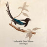 Inflatable Dead Horse - Hello Magpie