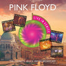 Pink Floyd - Live in Venice 1989
