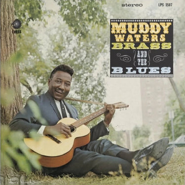 Muddy Waters - Muddy, Brass And The Blues