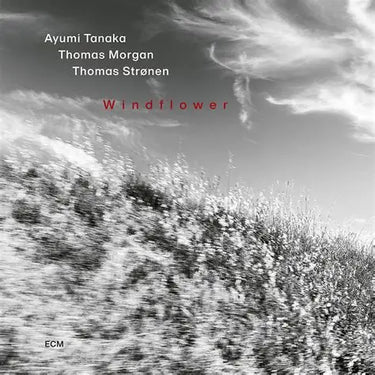 Ayumi Tanaka / Thomas Morgan / Thomas Stronen - Windflower