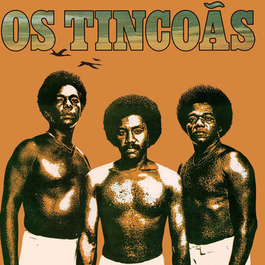 Os Tincoãs - Os Tincoãs
