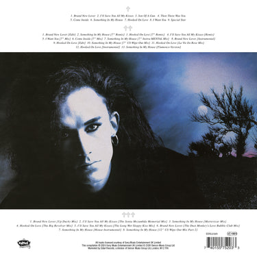 Dead or Alive - Mad, Bad And Dangerous To Know