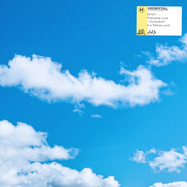 Netsky - Everybody Loves The Sunshine