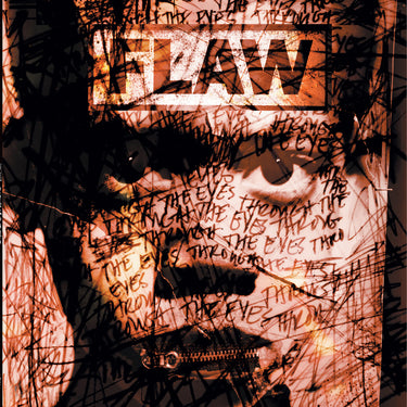 Flaw - Through The Eyes