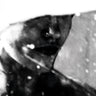 Purgate - Leavings