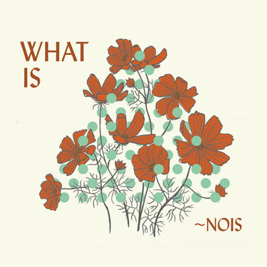 ~Nois - What Is ~Nois?