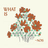 ~Nois - What Is ~Nois?