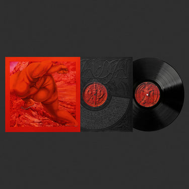 LP with Printed Insert