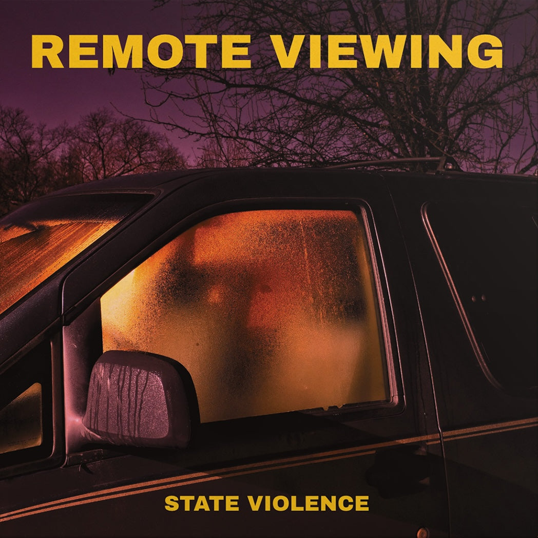 Remote Viewing - State Violence