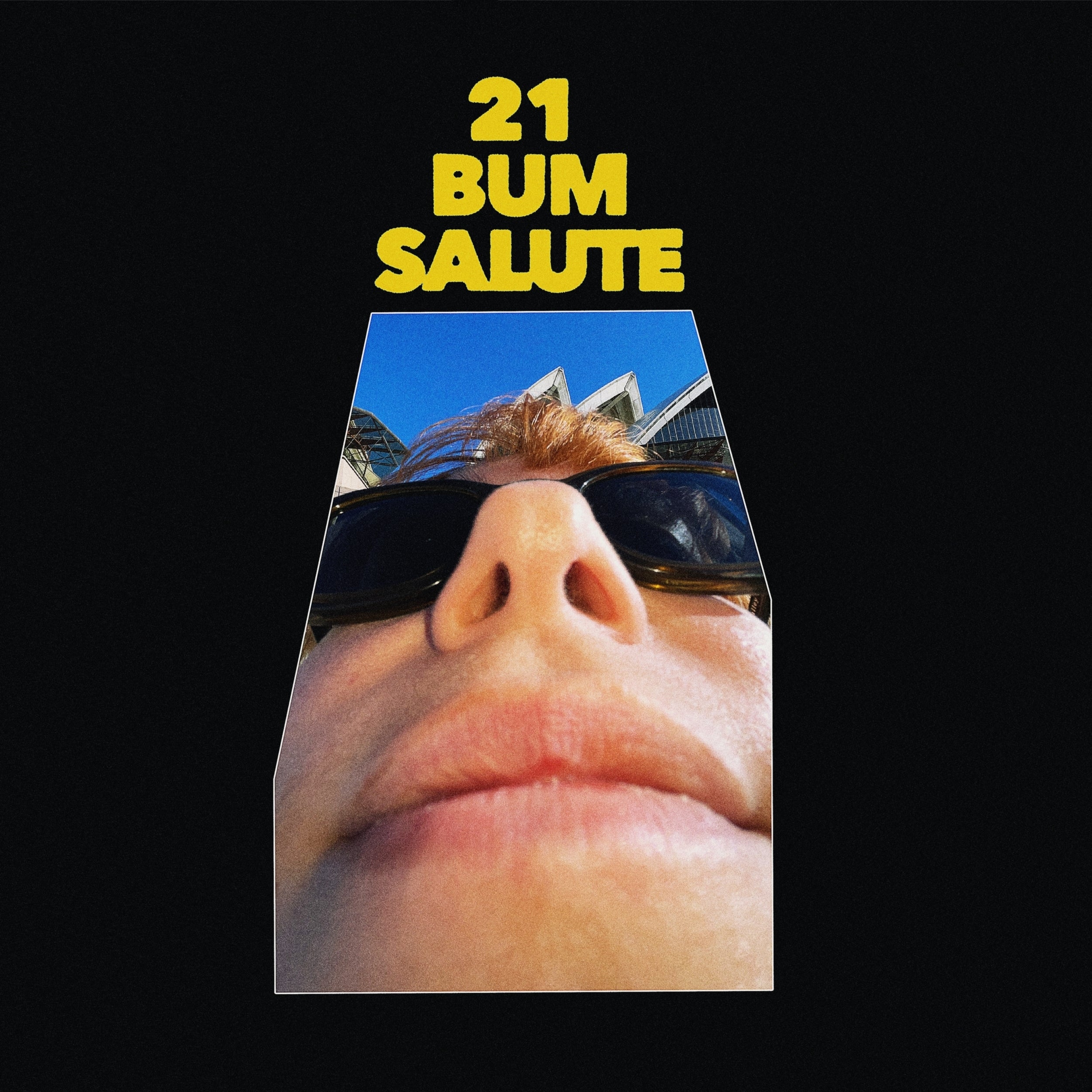 Party Dozen - 21 Bum Salute