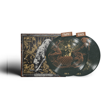 Picture Disc Vinyl
