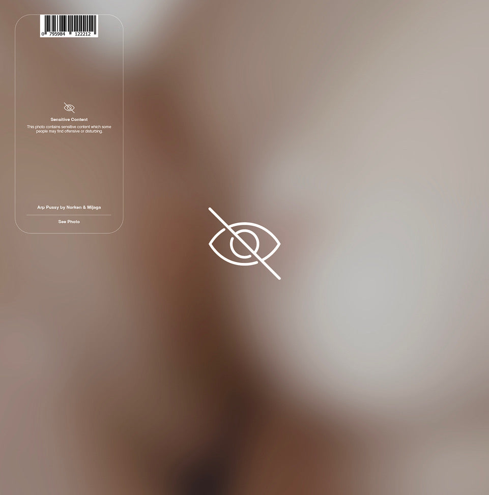 Norken & Mijaga - Arp Pussy