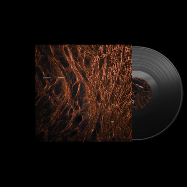 Black LP