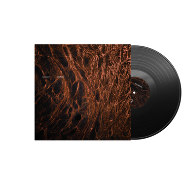 Black LP