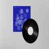 Black BioVinyl 12"