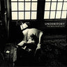 Thomas Bartlett - Understory