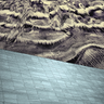 BODDY / SCANNER - JUXTAPOSITIONS