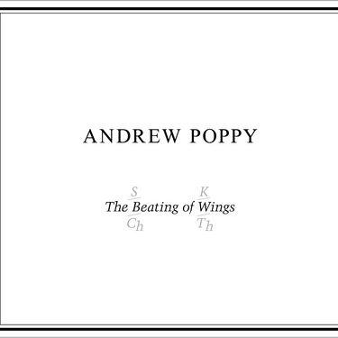 Andrew Poppy - THE BEATING OF WINGS
