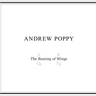Andrew Poppy - THE BEATING OF WINGS
