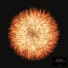 Yom - Cosmogonia