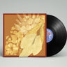 Limited LP