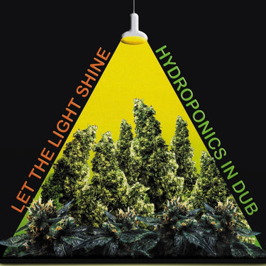 Hydroponics - Let the Light Shine