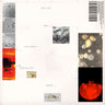 Polygonia, Simon Popp - Apiformes