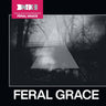 THE BLACK DOG - FERAL GRACE